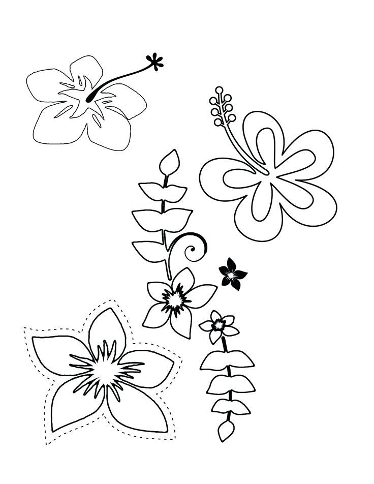 736x952 Tropical Flowers Colouring Pages
