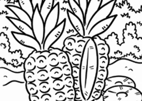 600x425 Tropical Coloring Pages To Print Wild Pineapple In A Tropical