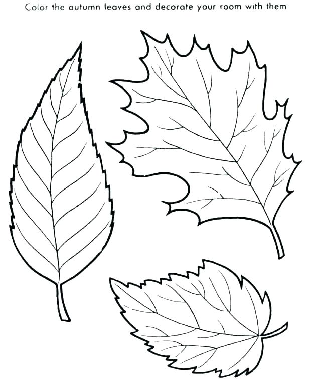 618x756 Coloring Pages Of Leaves Printable Leaves Coloring Pages Leaf