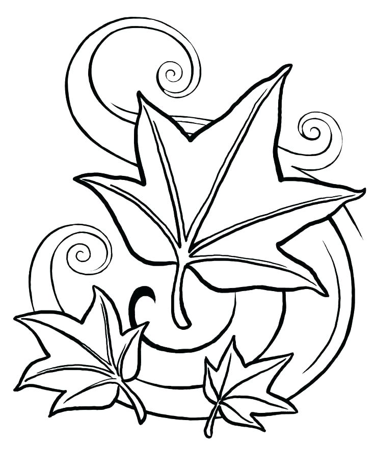 736x920 Coloring Page Leaf Coloring Page Leaves Coloring Pages