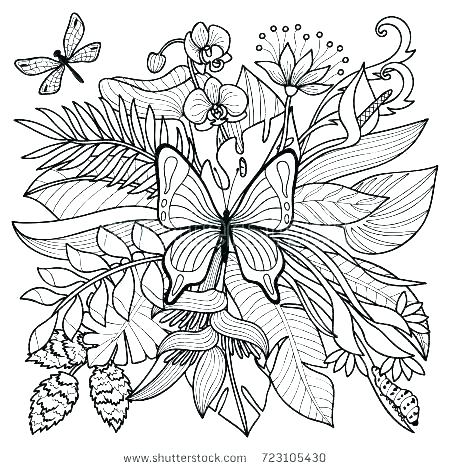 450x470 Tropical Coloring Pages Plants Colouring Pages Tropical Coloring