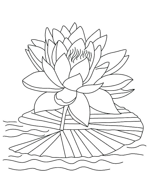 600x776 Tropical Coloring Pages Tropical Fish Coloring Page Tropical Fish