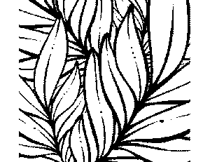 300x231 Tropical Leaves Coloring Page Pattern Leaves