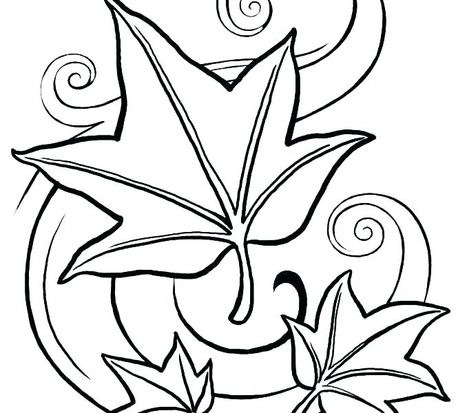 678x600 Coloring Page Leaf Fall Autumn Coloring Pages Leaf Page