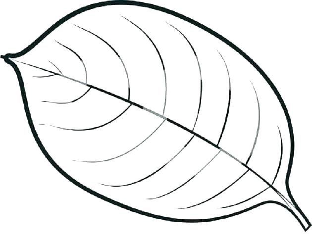 630x493 Coloring Pages Leaves Coloring Pages Leaves Autumn Fall Maple Leaf