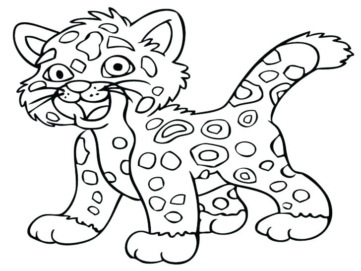 728x546 Rainforest Animals Coloring Pages This Is Animals Coloring Pages