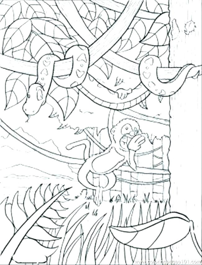 650x852 Rainforest Coloring Pages Printable Tropical To Print Page