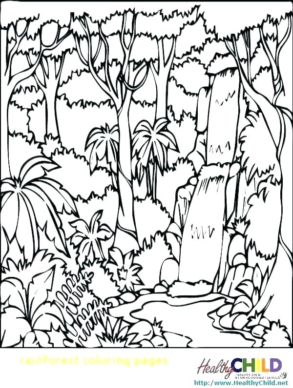 600x796 Rainforest Coloring Pages To Print Coloring Page Amazon Coloring