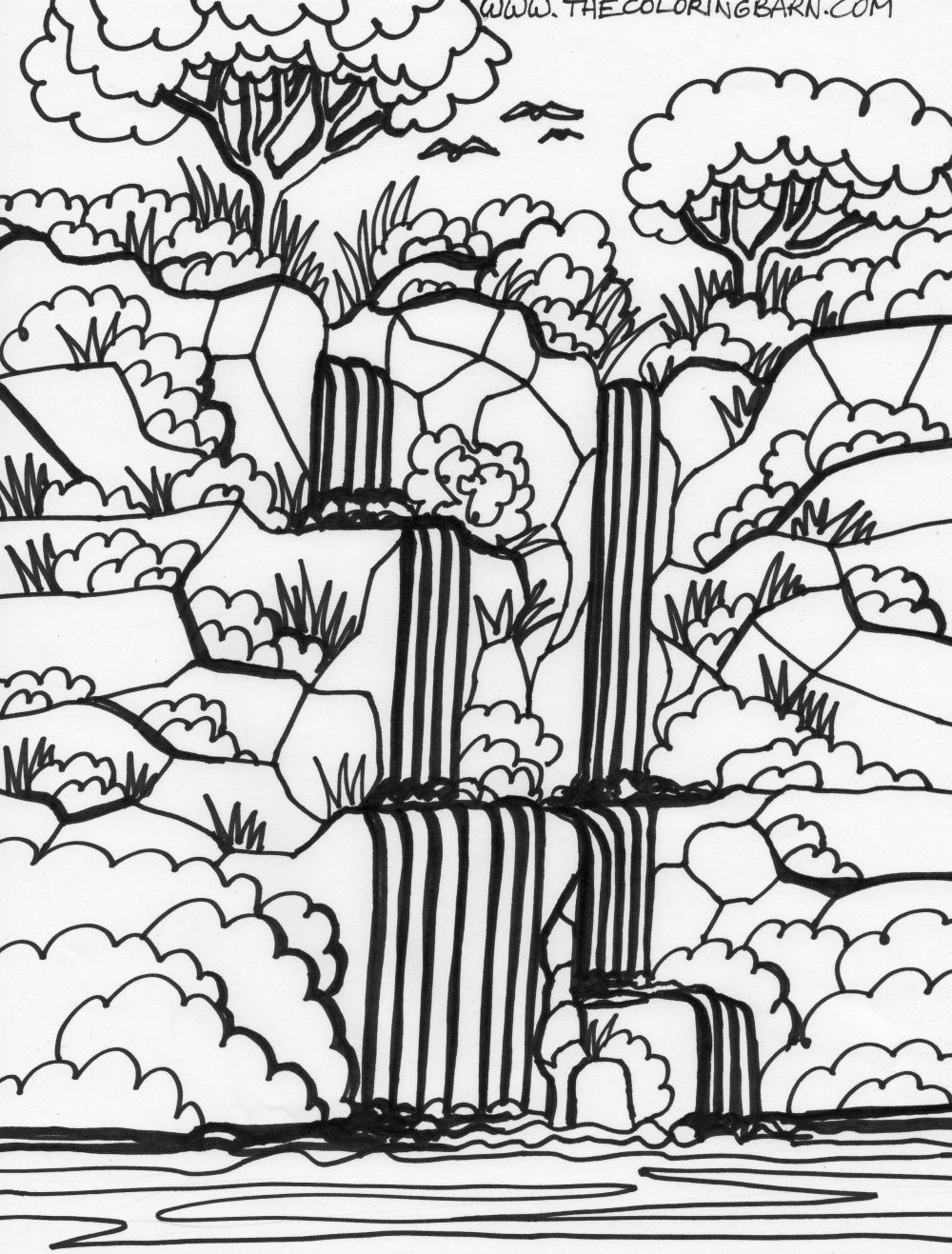 1000x1317 Competitive Tropical Rainforest Coloring Page Printable Pages