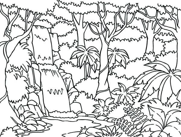 600x453 Enchanting Rainforest Coloring Page Coloring Pages Printable Rain