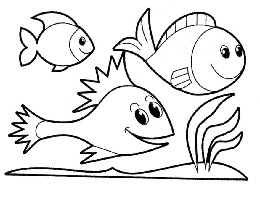 878x669 Remarkable Rainbow Trout Coloring Page Coloring Pages Fish Rainbow