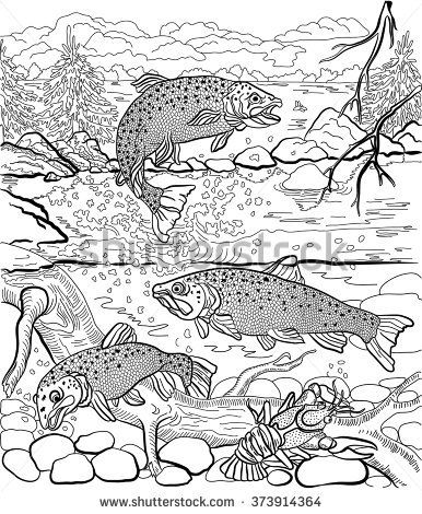 386x470 Underwater Life On The River Trout And Cancer Swim Under Water