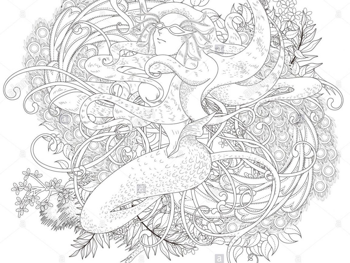 1152x864 Brown Trout Coloring Pages Shocking Caddisfly For Printable Adults
