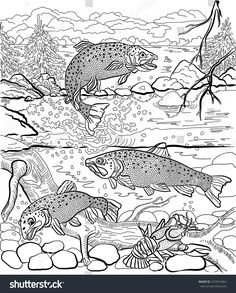 236x293 Brown Trout Coloring Page From Trouts Category Select