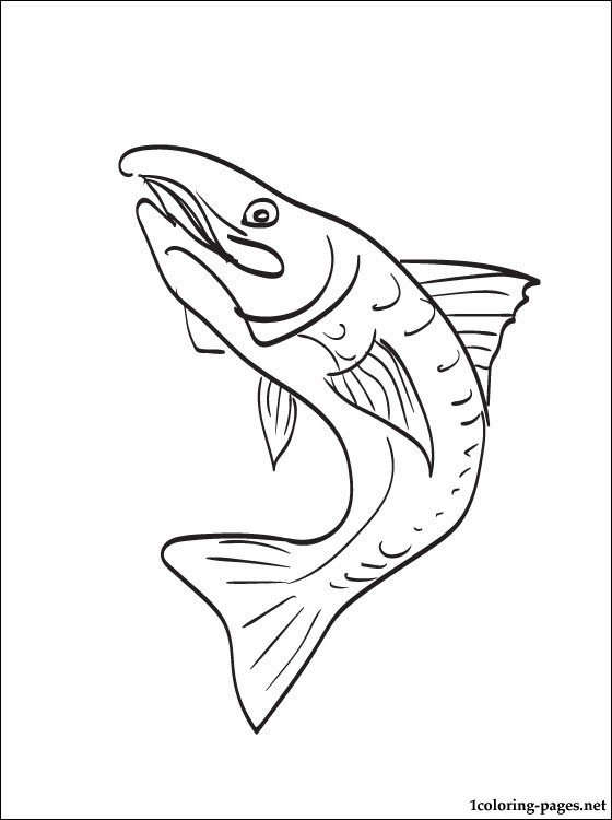 560x750 Coloring Page Trout Coloring Pages