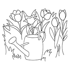 Tulip Coloring Pages