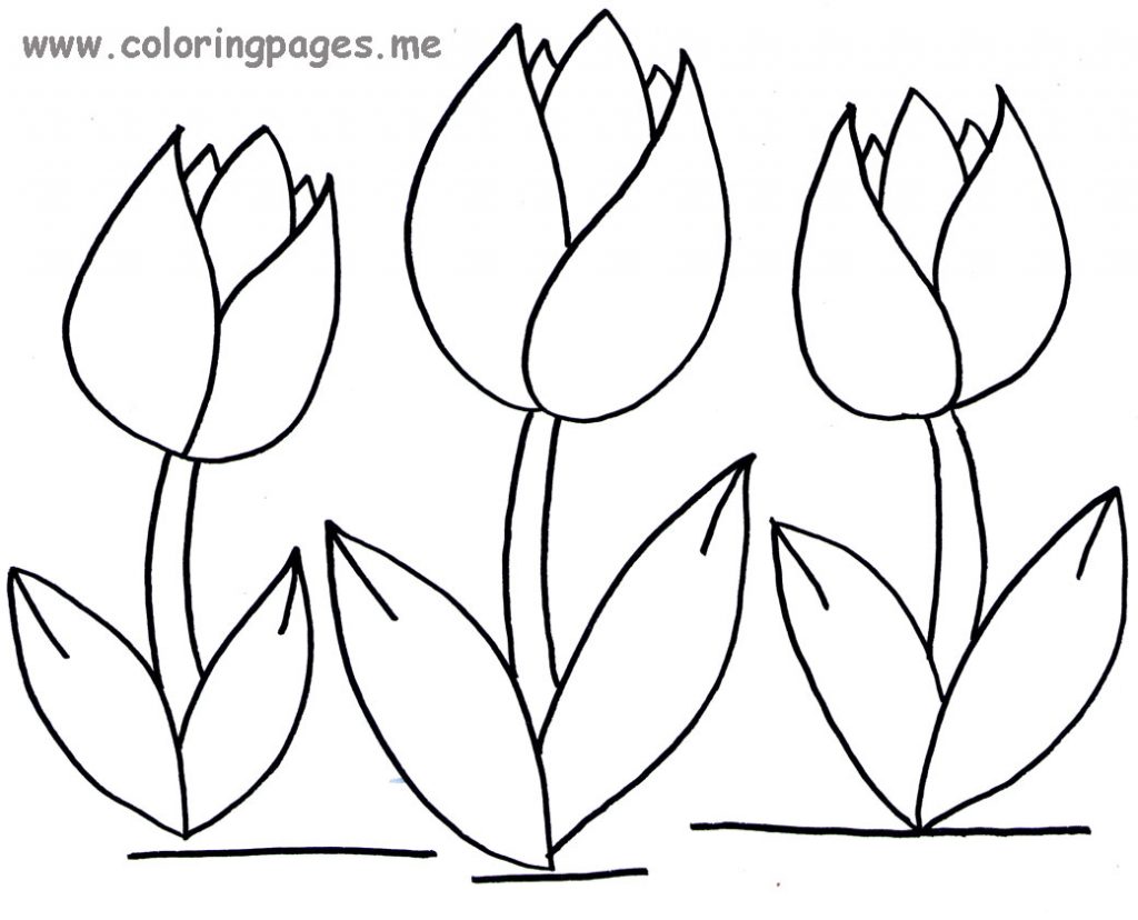 1024x828 Tulip Coloring Page Get Bubbles