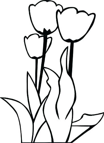 366x500 Tulips Coloring Pages Tulip Coloring Pages For Adults Coloring