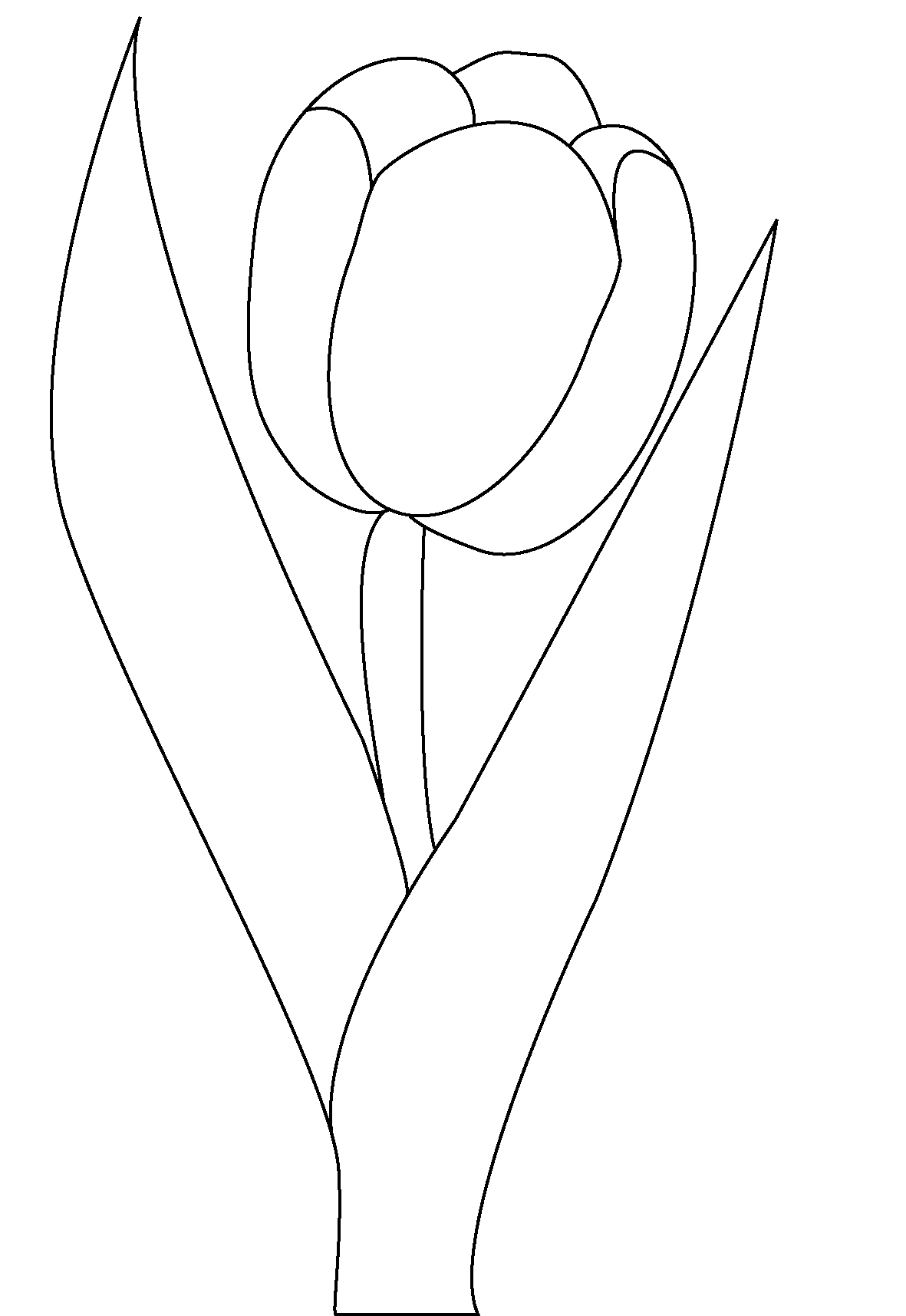 1181x1715 Free Printable Tulip Coloring Pages For Kids