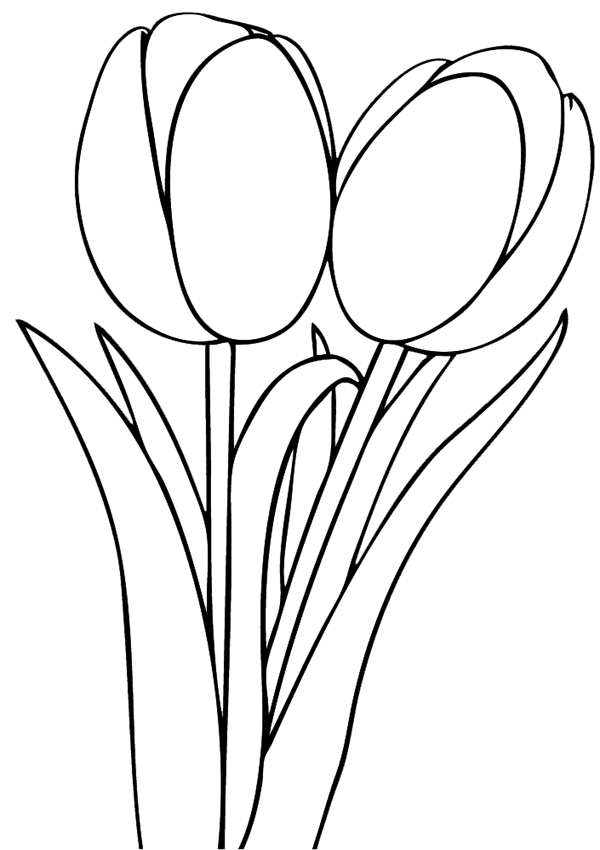Tulips Flowers Coloring Pages Coloring Pages