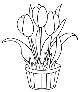 261x300 Tulip Flower Coloring Pages Free Printable