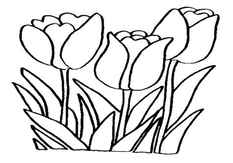 Tulip Flower Coloring Pages at GetDrawings | Free download