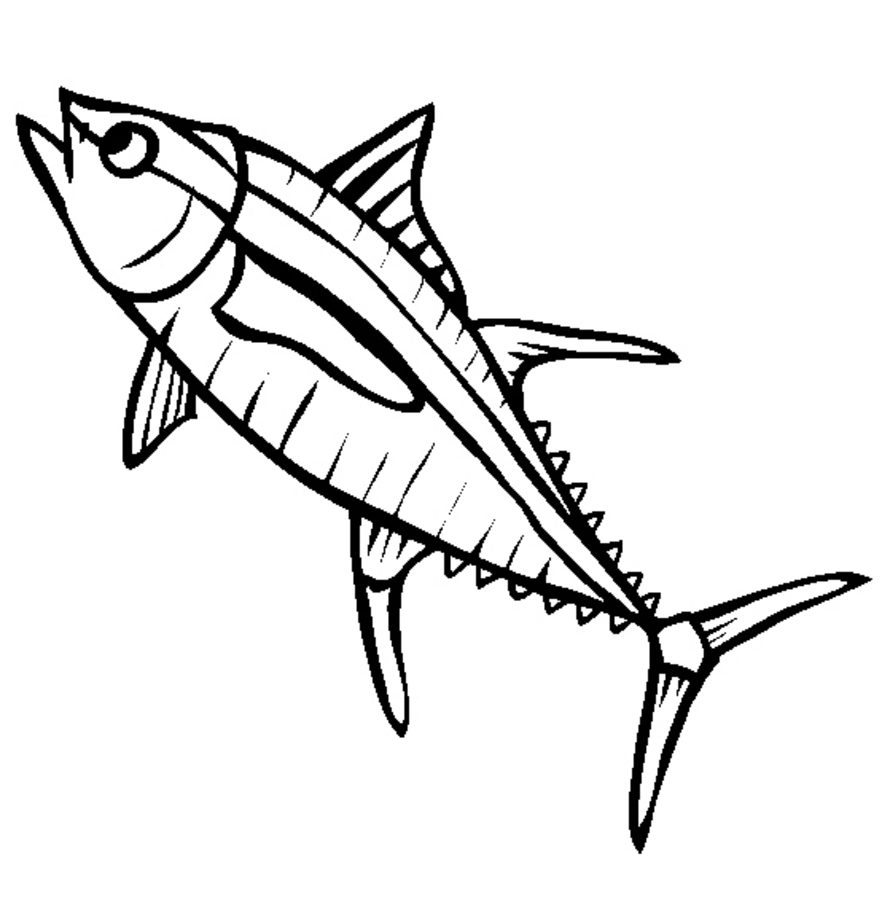 882x900 Coloring Pages Tuna, Printable For Kids Adults, Free