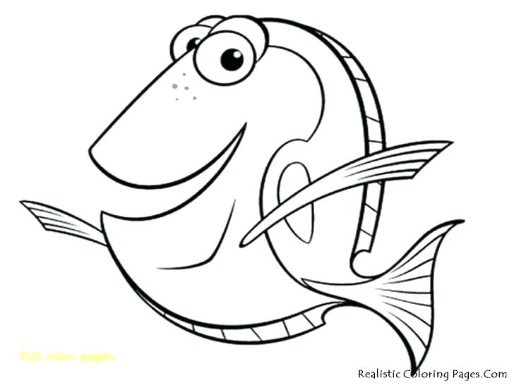 728x546 Fish Pattern Coloring Pages Color With Top Free Printable Kid