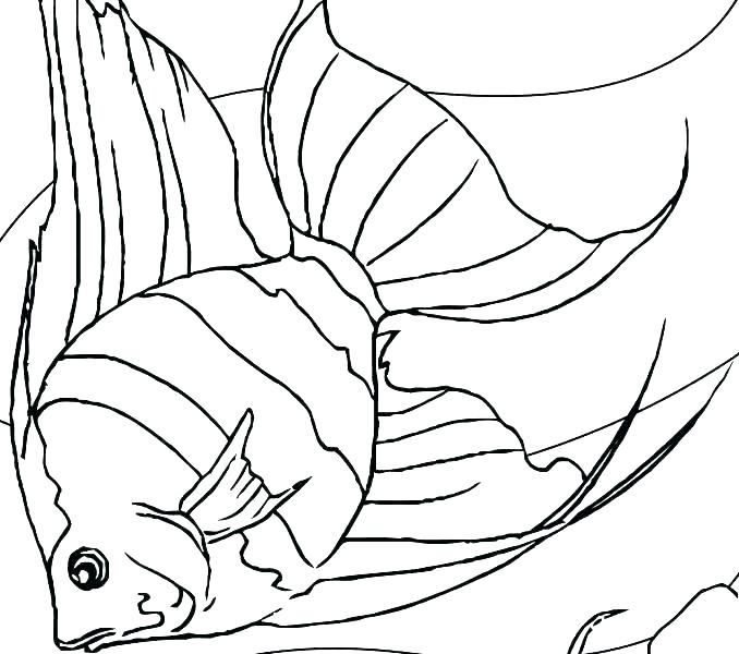 678x600 Tuna Fish Coloring Page Coloring Pages Disney Frozen