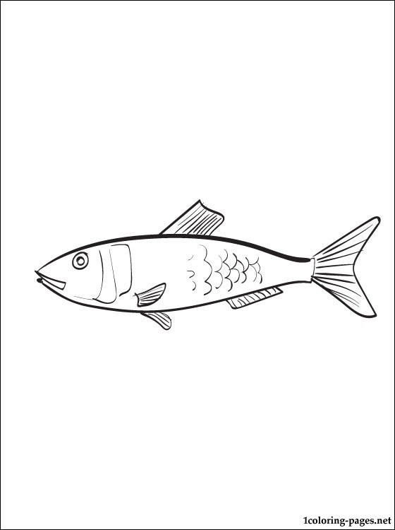 560x750 Tuna Fish Coloring Pages