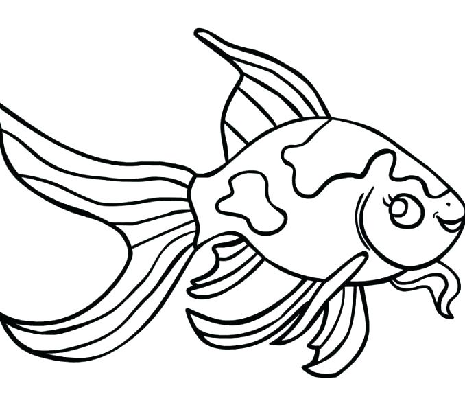 678x600 Coloring Pages Of A Fish Fish Coloring Pages To Print Tuna Fish