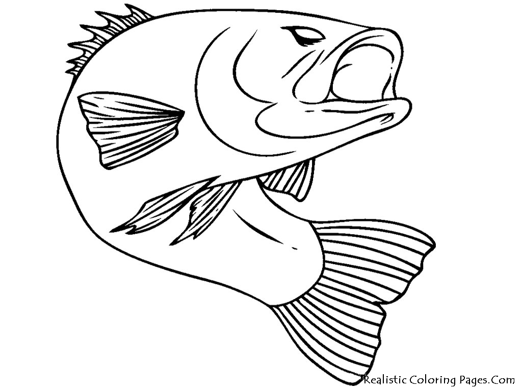 1024x768 Fish Coloring Pages