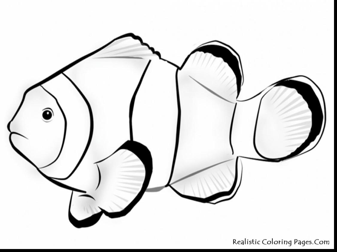 1126x844 Fish Coloring Pages