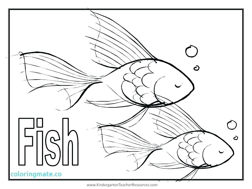 960x720 Tuna Fish Coloring Page Whitening Strips Reviews