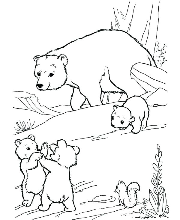 600x734 Polar Animals Coloring Pages Polar Animals Coloring Pages Baby