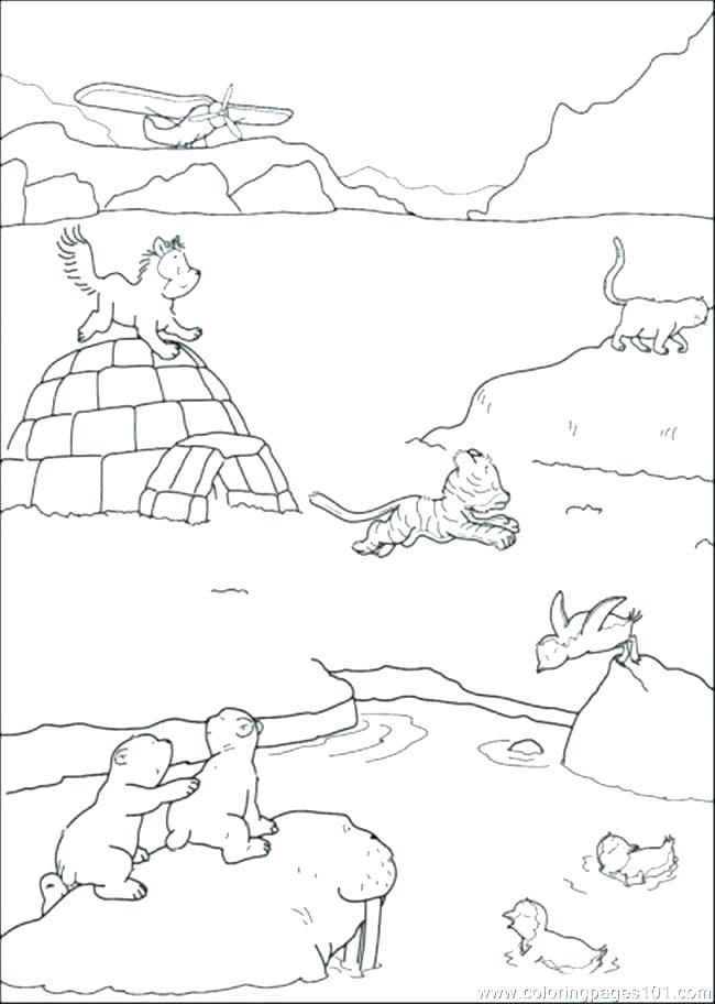 650x912 Walrus Coloring Page Fresh Tundra Animals Coloring Pages Crayola