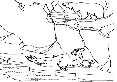 476x333 Polar Animals Coloring Pages Coloring Pages Of Polar Bears Arctic