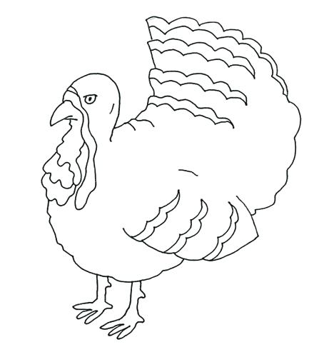 447x500 Turkey Color