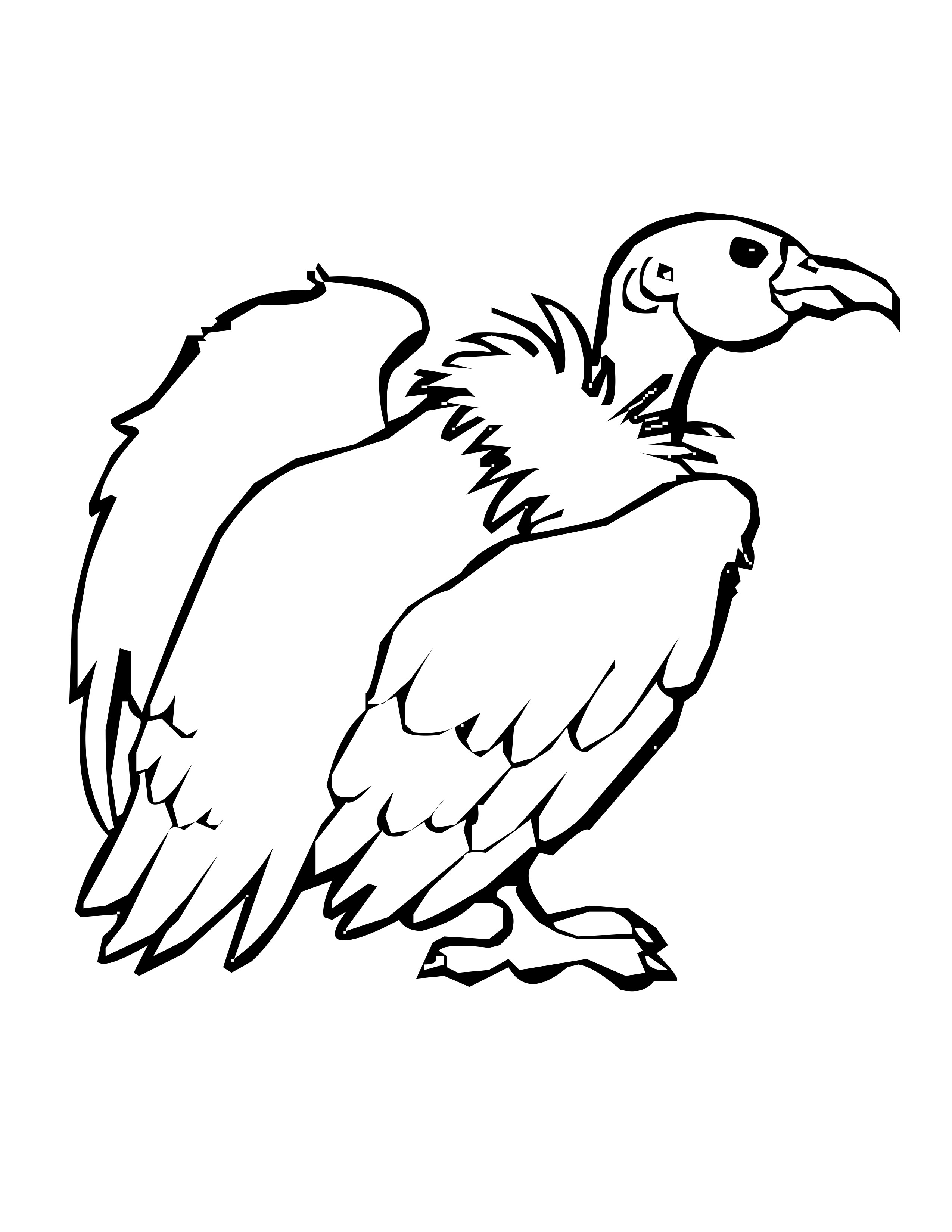 2550x3300 Turkey Vulture Coloring Page, Bird Coloring Pages