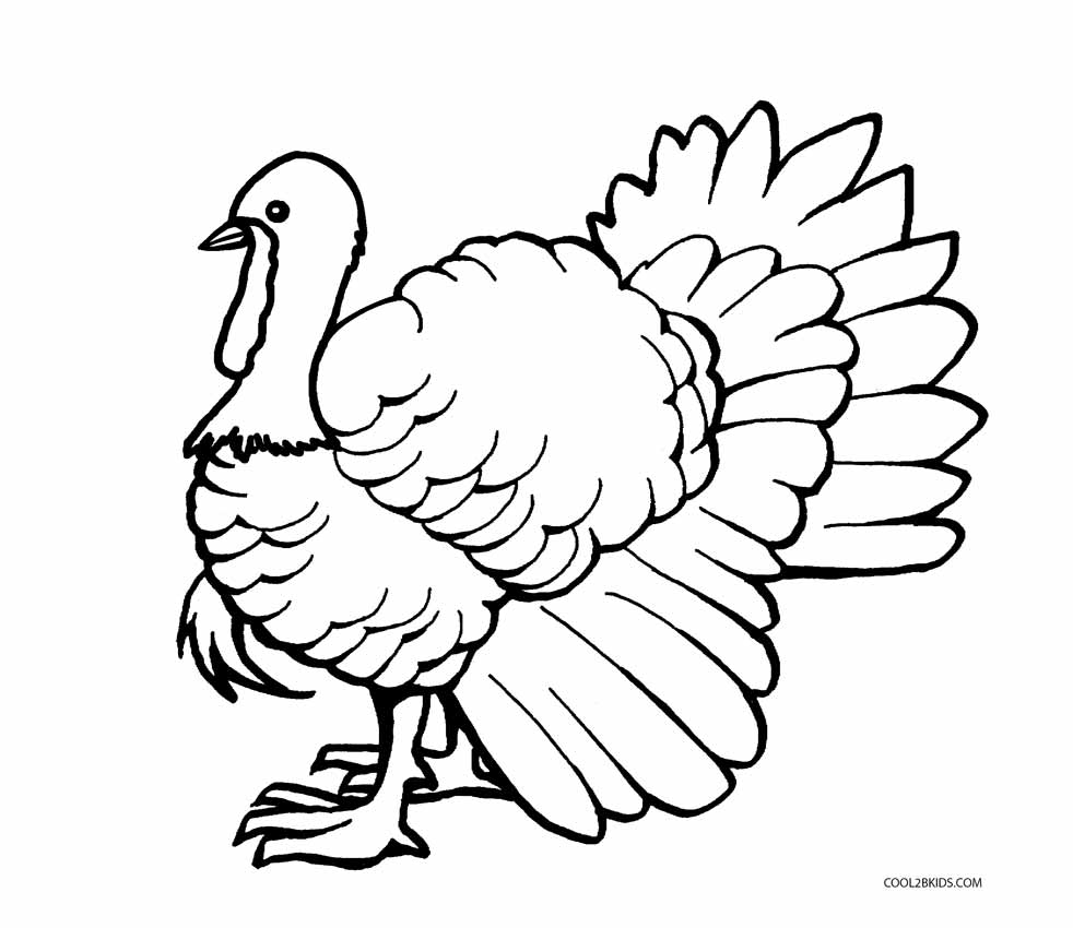 982x850 Unlimited Turkey Bird Coloring Pages Thanksgiving Print Color Fun