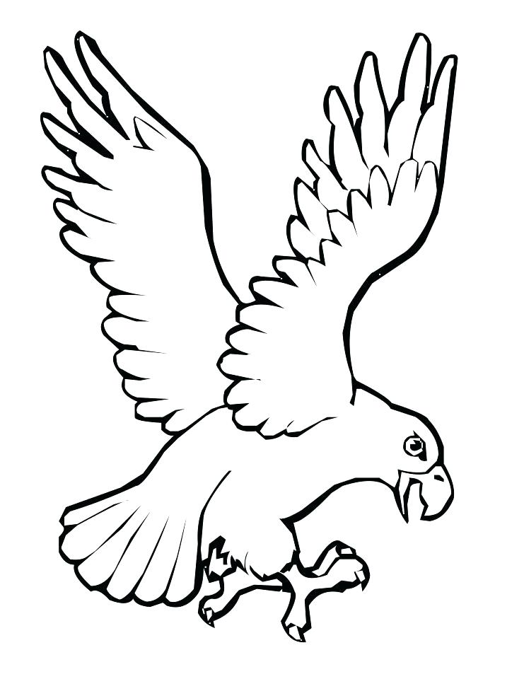 741x960 Turkey Bird Coloring Pages Professional