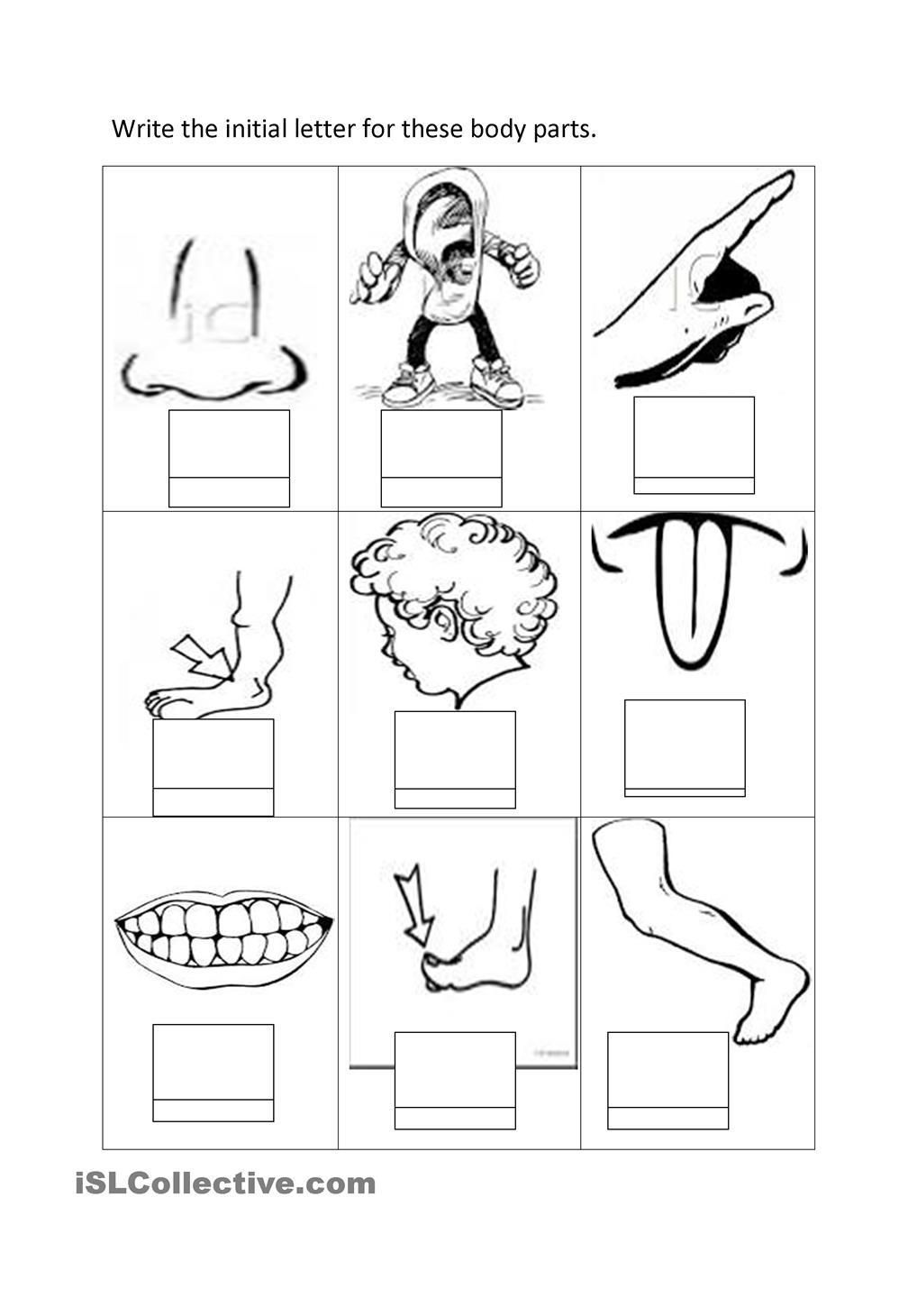 1018x1440 Spotlight Parts Of The Body Coloring Pages For Preschool Turkey