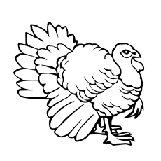 230x230 Top Turkey Coloring Pages For Toddlers