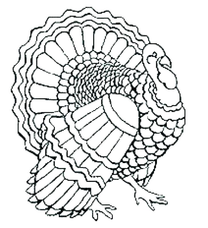 728x797 Printable Turkey Coloring Page Preschool Turkey Coloring Pages
