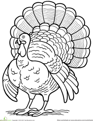 301x391 Turkey Worksheet
