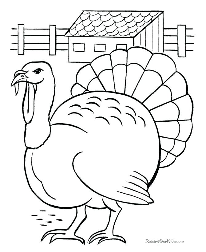 670x820 Ideas Turkey Coloring Pages For Preschoolers For Baby Turkey