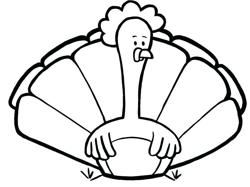 835x624 Free Turkey Coloring Page Feather Coloring Page Printable Turkey