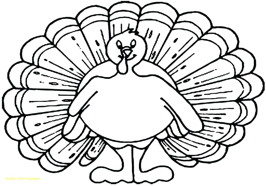 1024x715 Free Turkey Coloring Page Now Free Turkey Coloring Pages