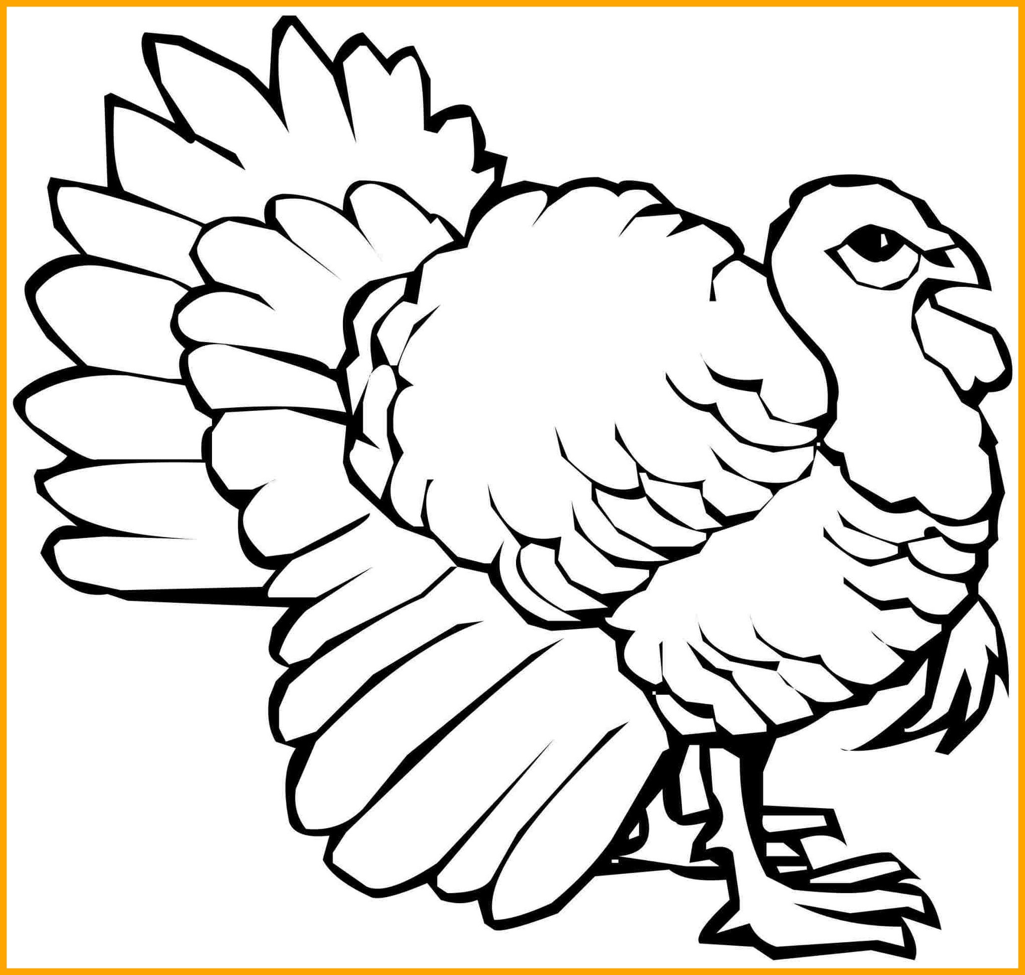 2026x1927 Stunning Thanksgiving Zentangle Turkey