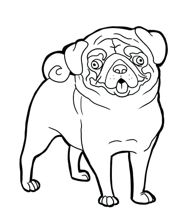 600x700 Funny Coloring Pages Funny Cat Coloring Pages Funny Turkey